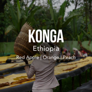 Ethiopia Konga