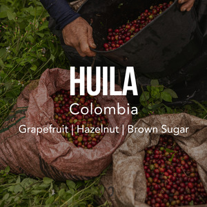 COLOMBIA Huila Excelso