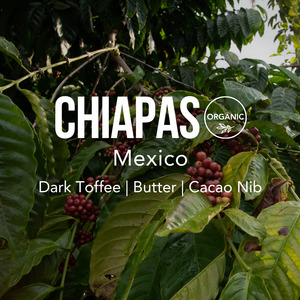 Coffee: MEXICO Chiapas - Organic