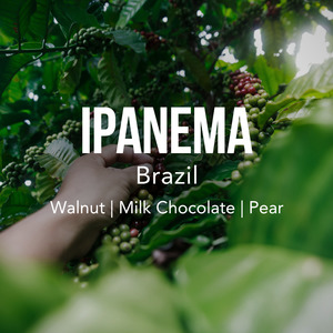 Coffee: BRAZIL Ipanema Gourmet