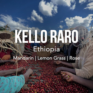 Coffee: Ethiopia Kello Raro