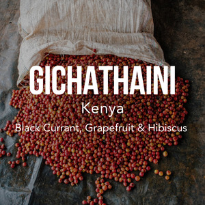 Kenya Gichathaini