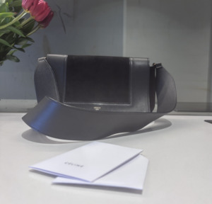 Celine Frame Bag leather and suede