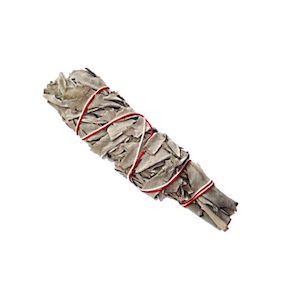 Products: Californian White Sage – Medium