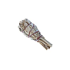 Californian White Sage – Small
