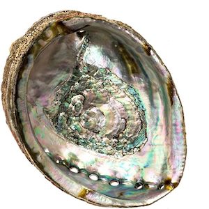 NZ Paua – Smudging Bowl