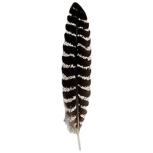 Products: Turkey Feather – Smudging