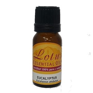 Lotus: Lotus Oil – Eucalyptus