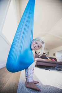 Products: Sensory Lyrca Swing Explore Online