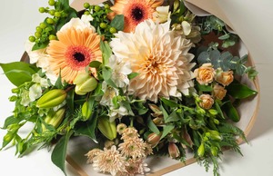 Products: Hamilton Cambridge Florist Long Stemmed Apricot Bouquet