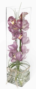 Products: Orchid in tall vase Florist Hamilton Cambridge