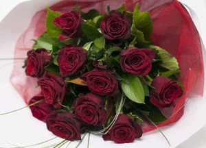 Half Dozen Red Roses Hamilton Cambridge Florist
