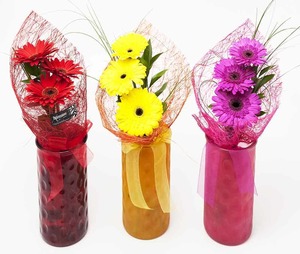Products: Triple Gerbera Bouquet Hamilton Cambridge Florist
