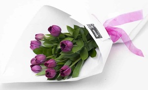 Products: Tulip Bouquet Hamilton Cambridge Florist