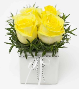 Products: Rose cube yellow Roses Florist Valentines Day