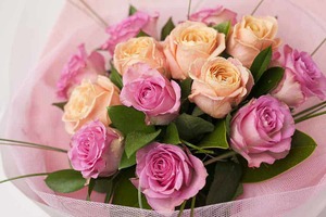 Products: Dozen Pink Roses Hamilton Cambridge Florist