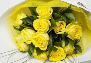 Products: Dozen Yellow Roses Hamilton Cambridge Florist