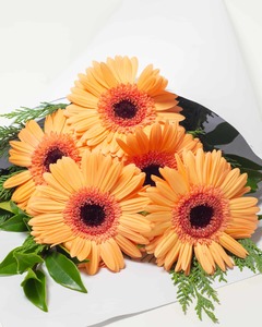 Orange Gerbera Flower Bouquet Hamilton Cambridge Florist