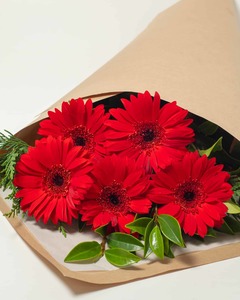Red Gerbera Flower Bouquet Hamilton Cambridge Florist