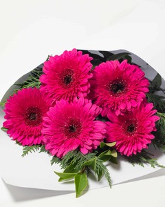 Products: Pink Gerbera Flower Bouquet Hamilton Cambridge Florist