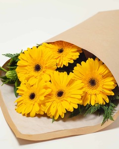 Products: Yellow Gerbera Flower Bouquet Hamilton Cambridge Florist