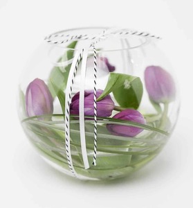Tulips in Vase Hamilton Cambridge Florist