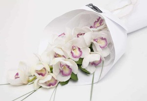 White Orchid Bouquet Hamilton Cambridge NZ