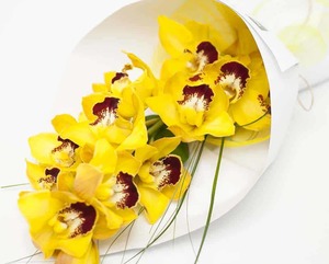Yellow Orchid Bouquet Hamilton Cambridge Florist