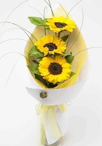 Sunflower Bouquet Hamilton Cambridge Florist