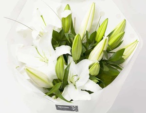 Products: Oriental Lilies Bouquet White Hamilton Cambridge Florist