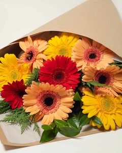 Perfect Gerbera Bouquet - Bright Expressions