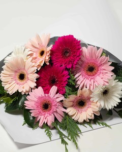 Perfect Gerbera Bouquet - Pastel Expressions