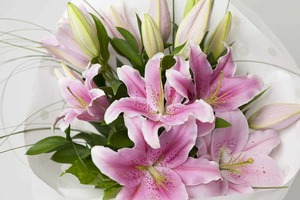 Products: Oriental Lilies Bouquet Pink Hamilton Cambridge Florist