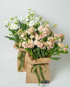 Funky Stock Flowers Cambridge Hamilton Florist