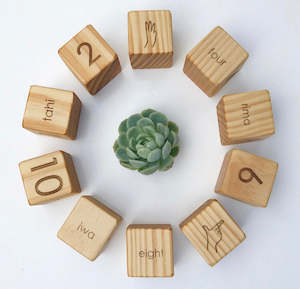 Numeracy Blocks