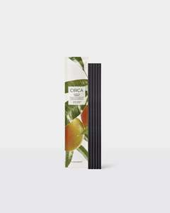 Circa 5 Scent Stems Mango and Papaya