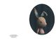 Portrait Of A Rabbit (card) Eyeball Kicks