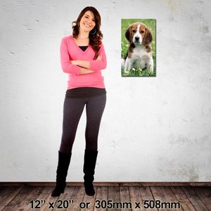 Portrait Canvas: 305mm x 508mm (12″x20″)