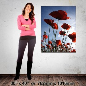 Portrait Canvas: 762mm x 1016mm (30″x40″)