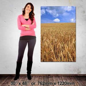 Portrait Canvas: 762mm x 1220mm (30″x48″)