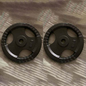 Standard Bar Plates Auto: Standard Metal Plates 1.25KGx2 (EZ035-0x2)