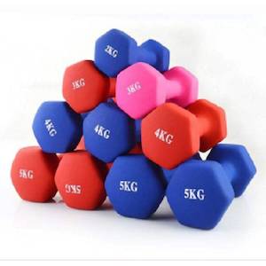 Workout Auto: Rubber Dumbbells Hex (assorted color) EZ213