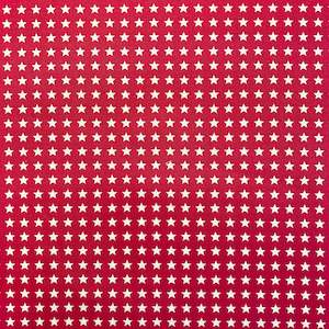 Printed Canvas - Fuchsia Star