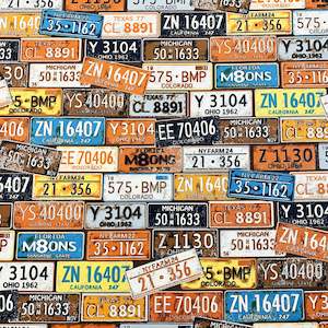 Printed Canvas - Licence Plates