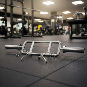 Gym Weights: Chrome Olympic Tricep Bar Barbell Heavy Duty with Spring Collars