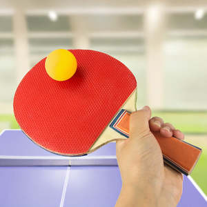 Sports Fitness: Table Tennis Game Indoor Portable Travel Ping Pong Ball Set Extendable