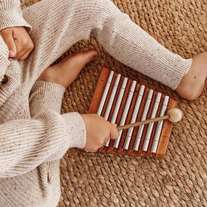 Instruments: Steel Xylophone