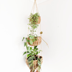 Hanging Basket Set of Three