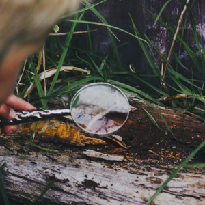 Aspiration International: Magnifying Glass - White Brass