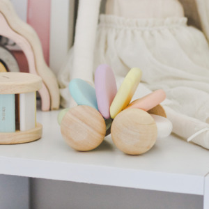 Eco Wooden Flexible Car | 2 Variants